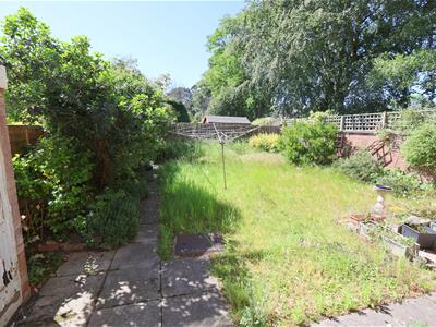 Picture 24